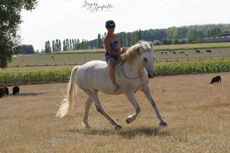 Justien te paard