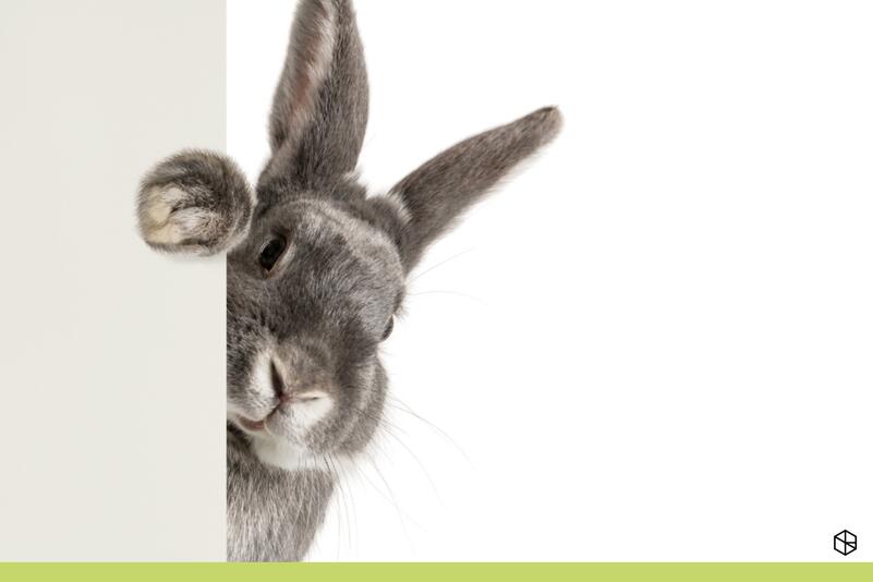 Re-Mind - studeren in de paasvakantie