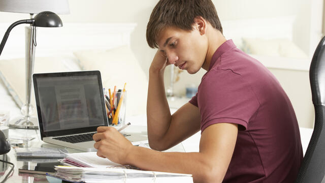 begeleidestudie
