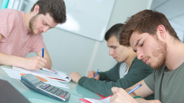 samen studeren
