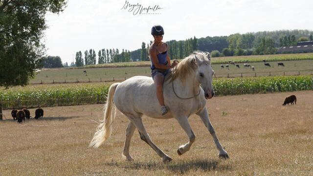 Justien te paard