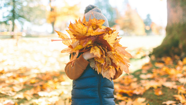 Herfstvakantie